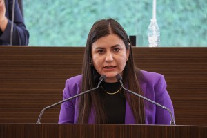 Legislatura de Querétaro aprueba Código Mariposa