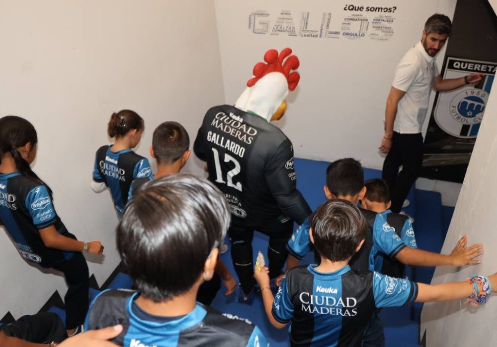 71_273_51430_453816945_14-5-26_convivencia_con_gallos_blancos-15