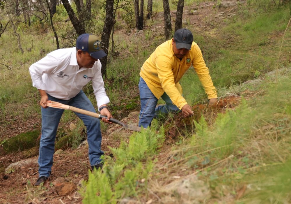71_273_52001_421539452_Reforestacion_La_Beata_15_de_julio_2026_5