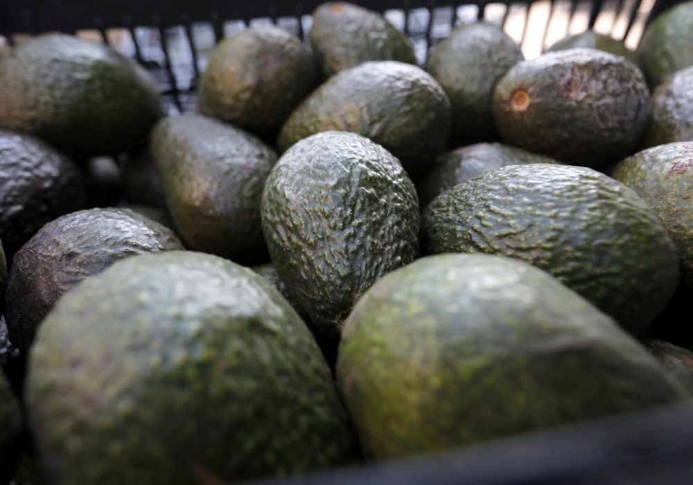 Aguacate