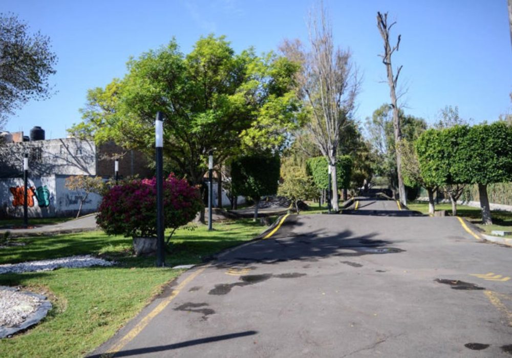 Alcanfores_Querétaro