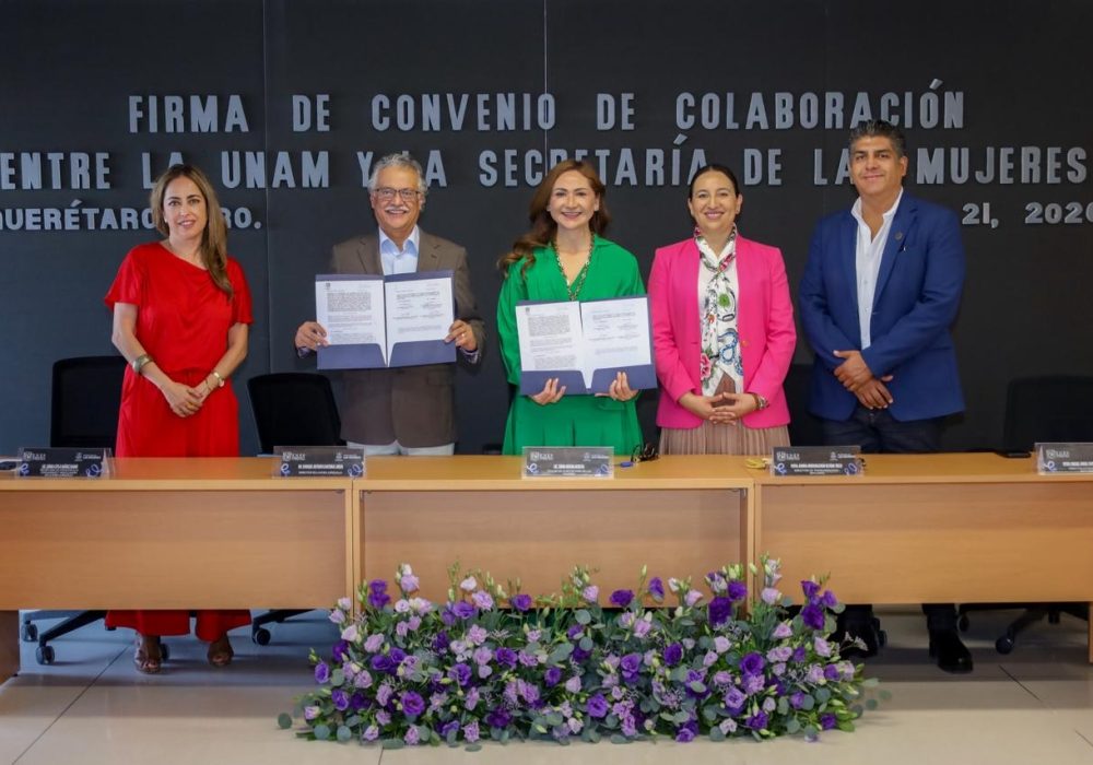 Alianza en favor de la igualdad y la prevención de las violencias