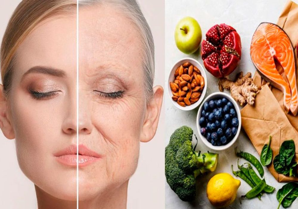Alimentos Envejecimiento - CP