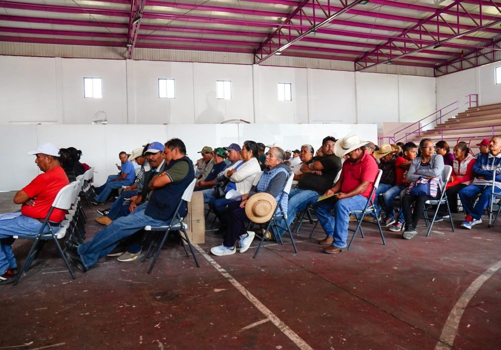 Apoyos_Pedro Escobedo_1