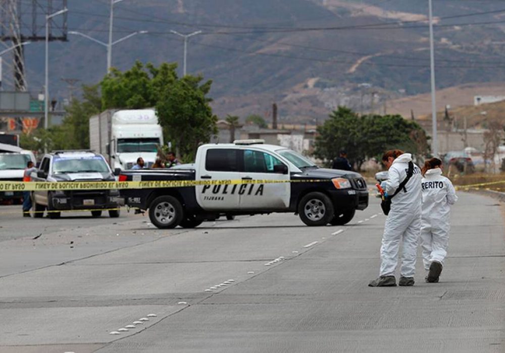 CJNG-cp