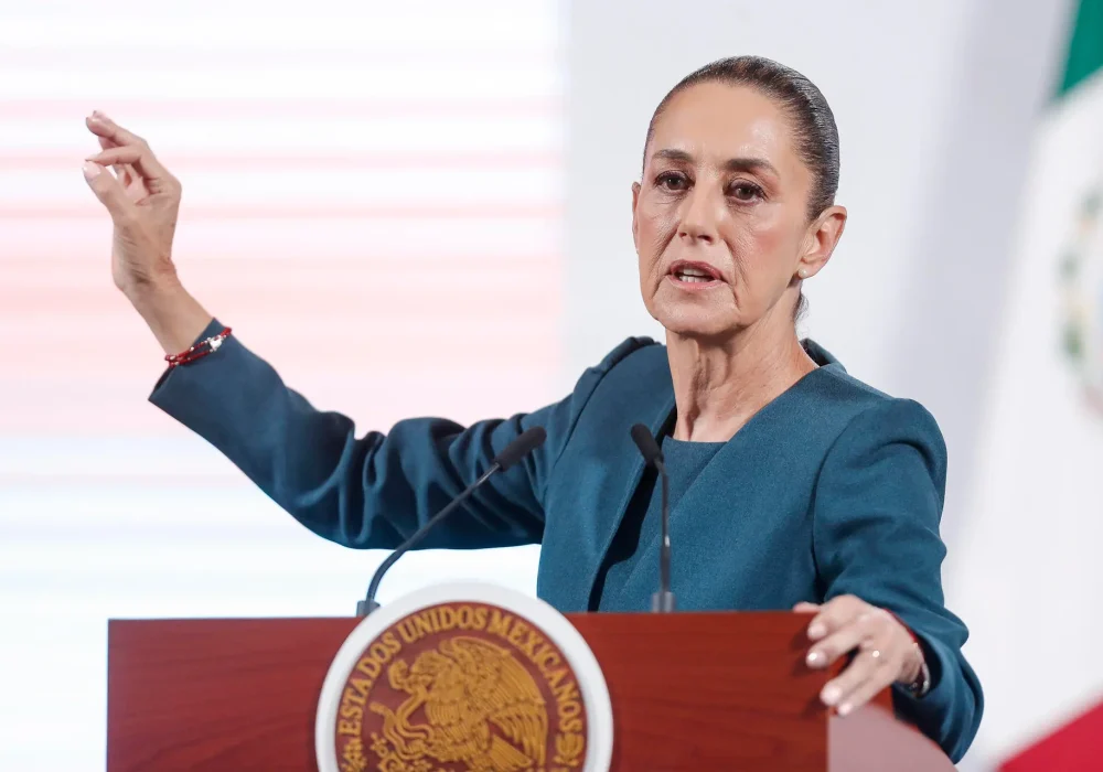 Claudia Shienbaum_Desaparecidos