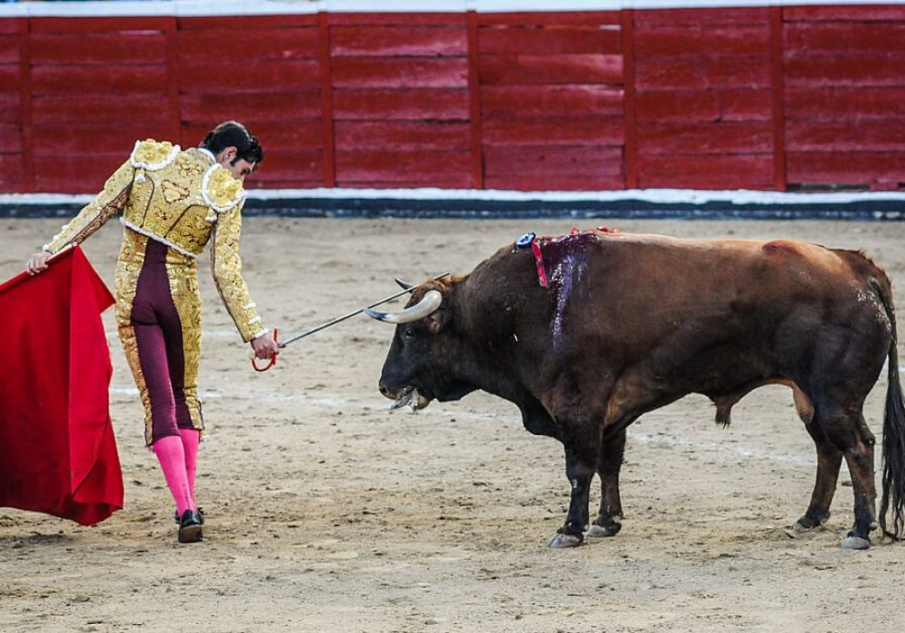 Corrida de Toros_Querétaro