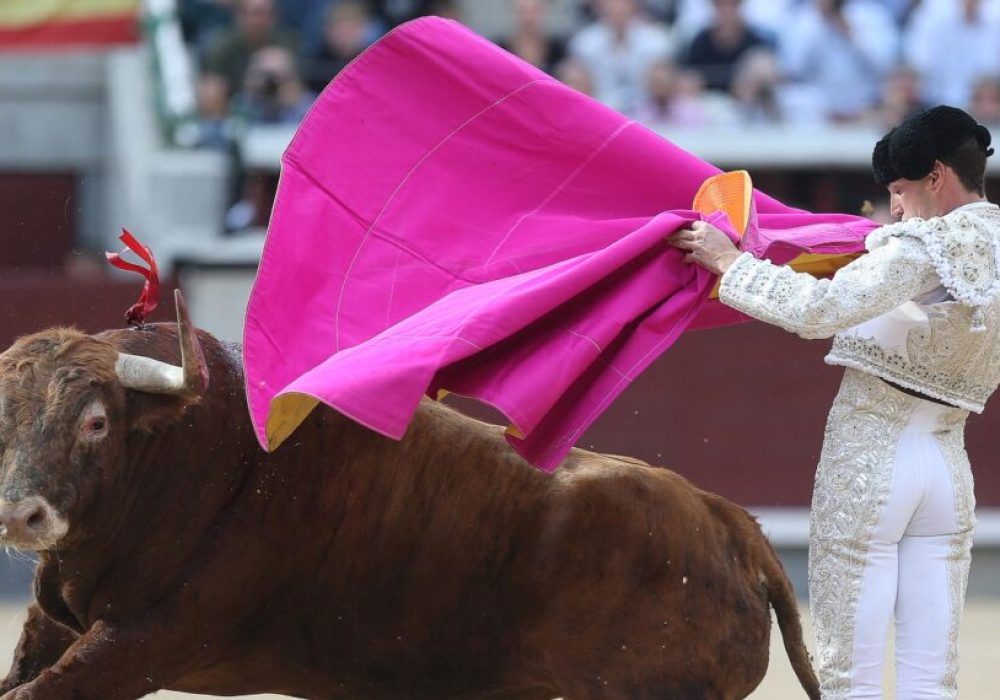 Corridas de Toros