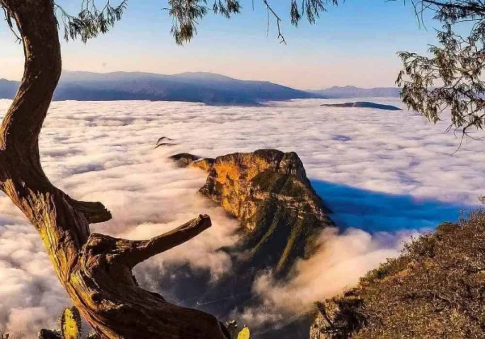 Cuatro Palos_Mirador