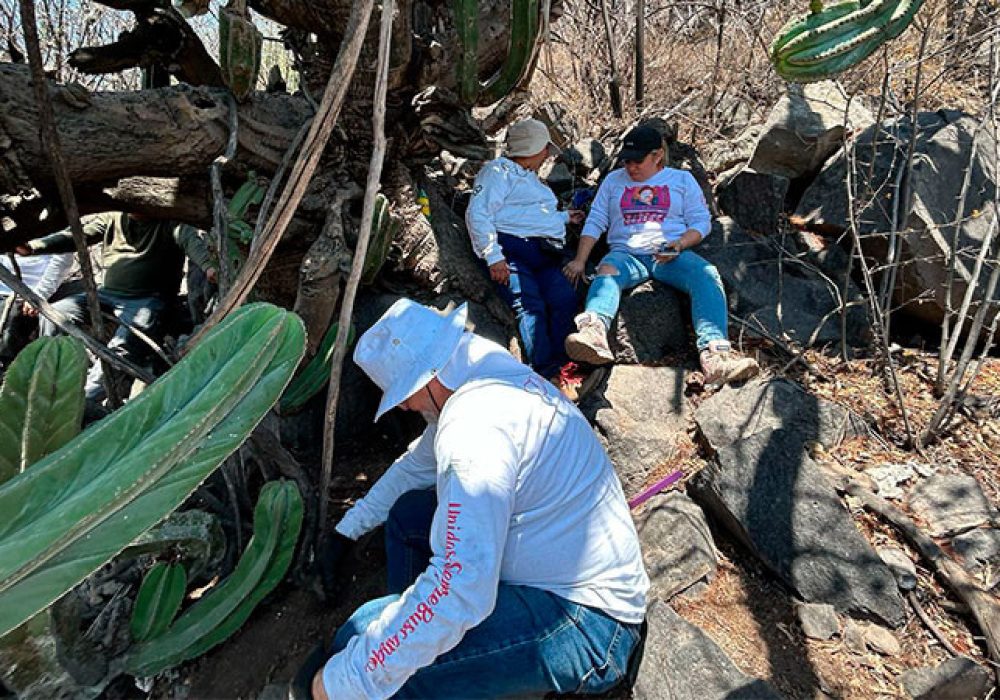 Desaparecidos_Querétaro