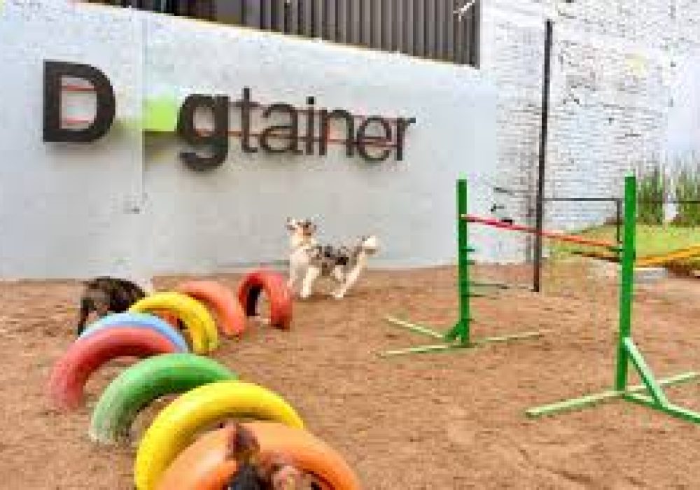 Dogtainer_Maltrato animal