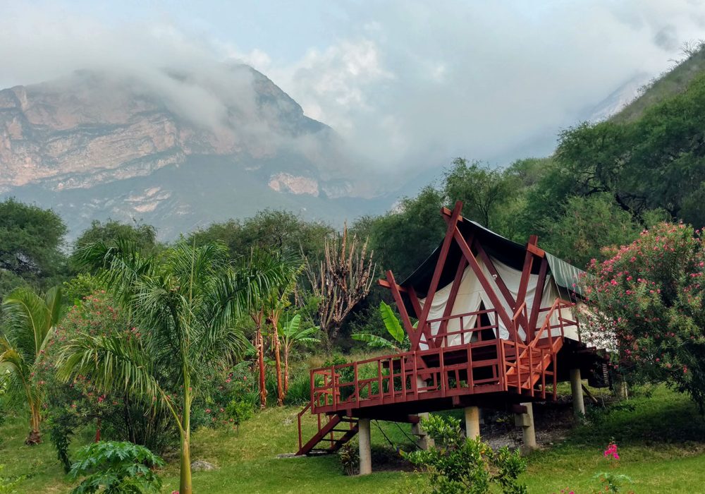 El Jabali 7