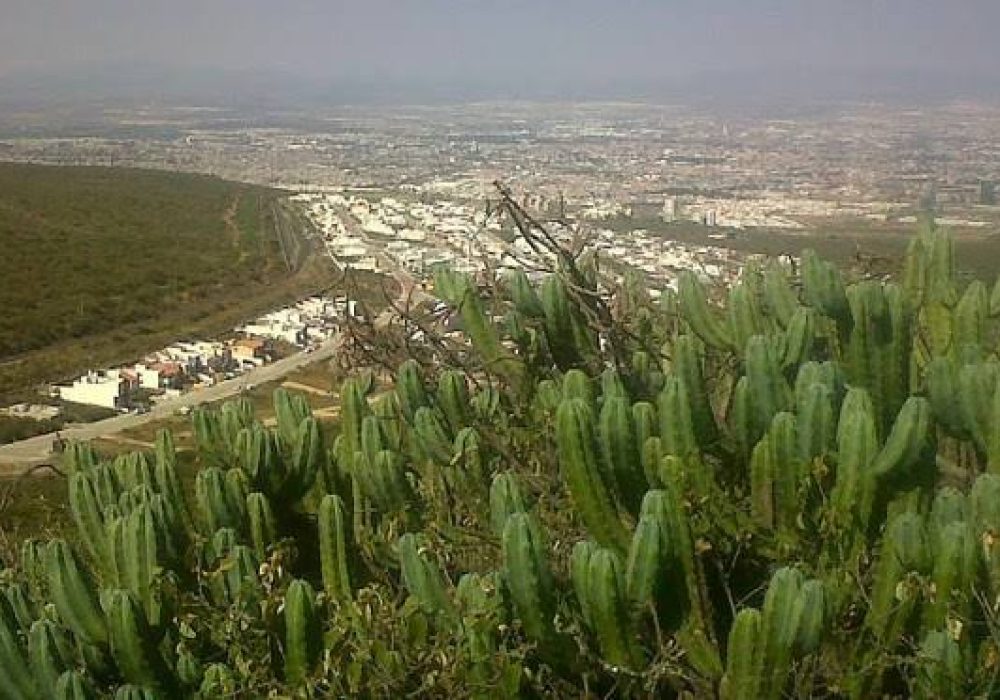 El Tángano _ Querétaro