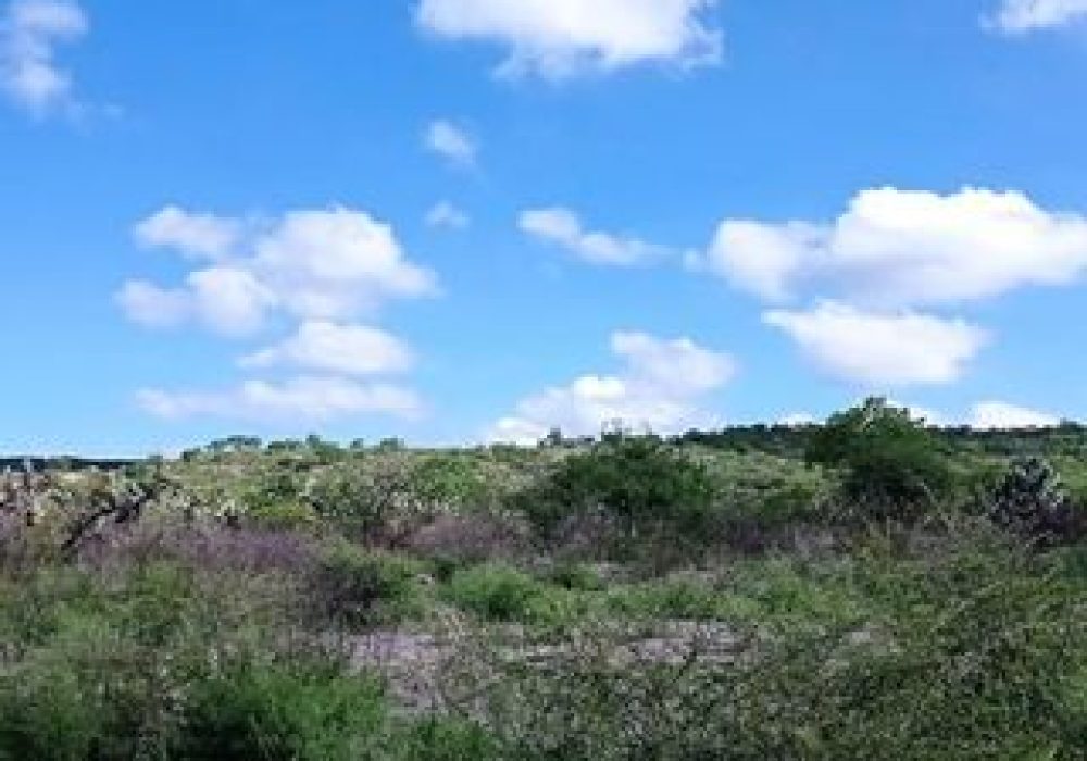 El Zapote_Querétaro