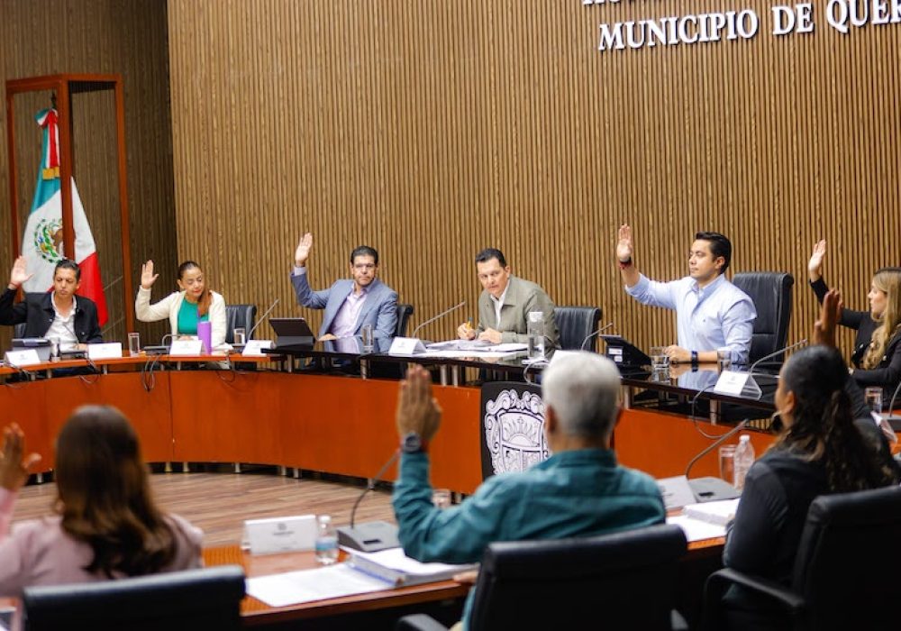 En cada sesión de Cabildo se creará un área de conservación nueva