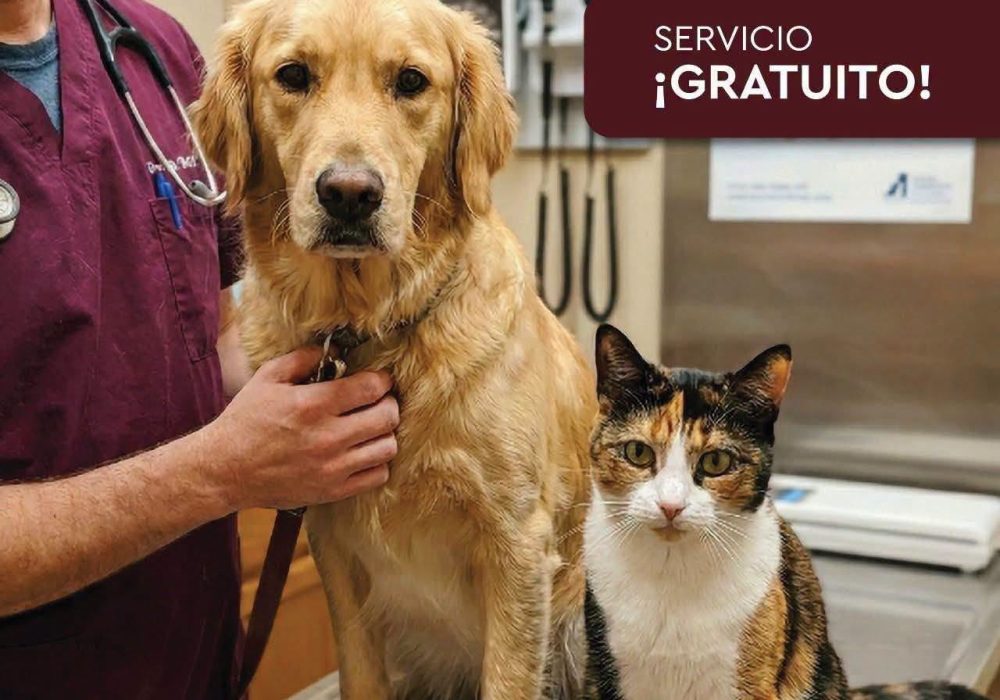 Esterilización