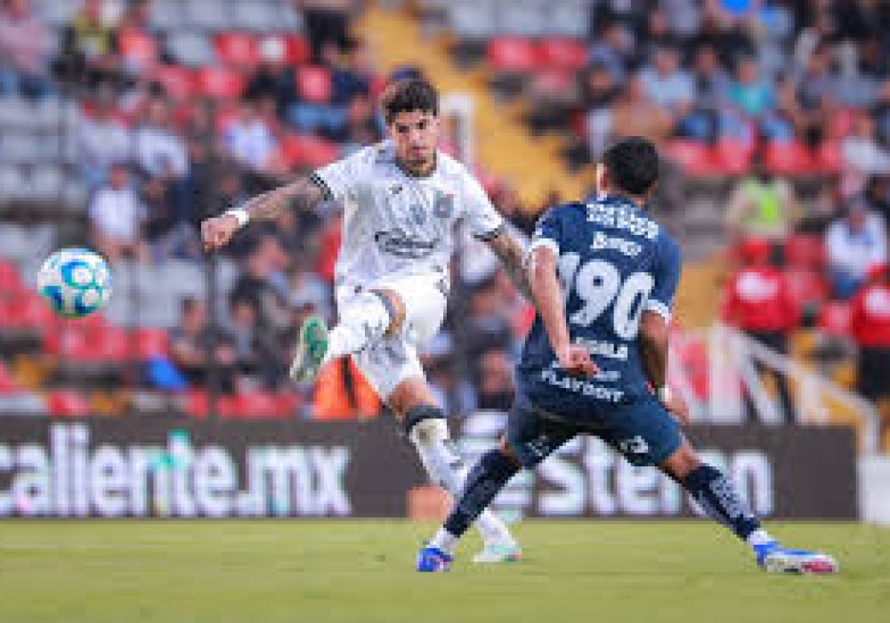 Gallos Blancos_León