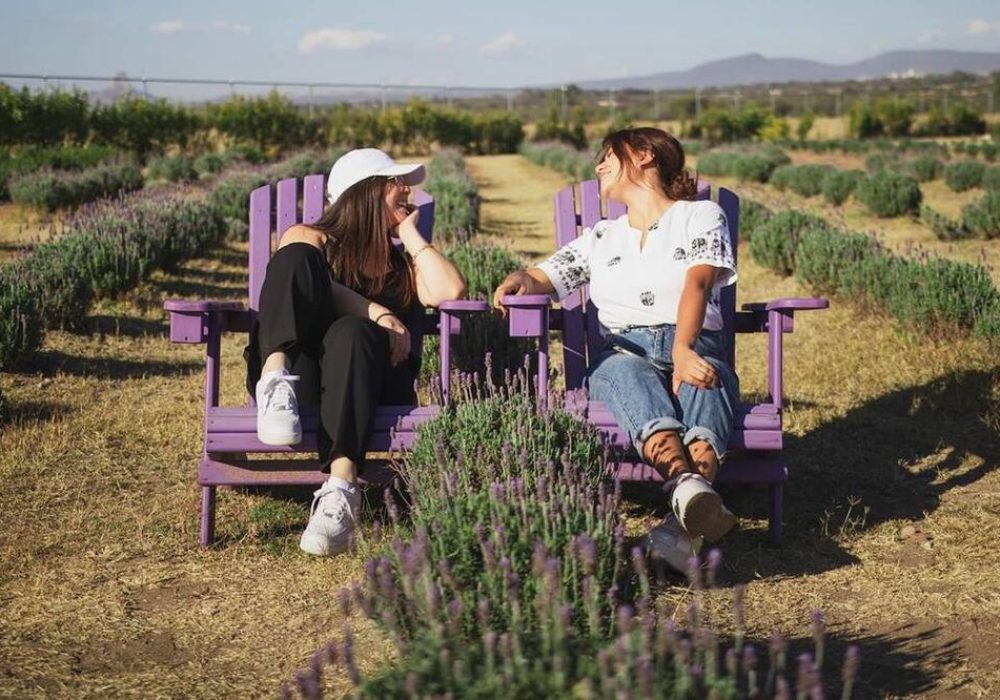 Granja Lavanda_Tequisquiapan