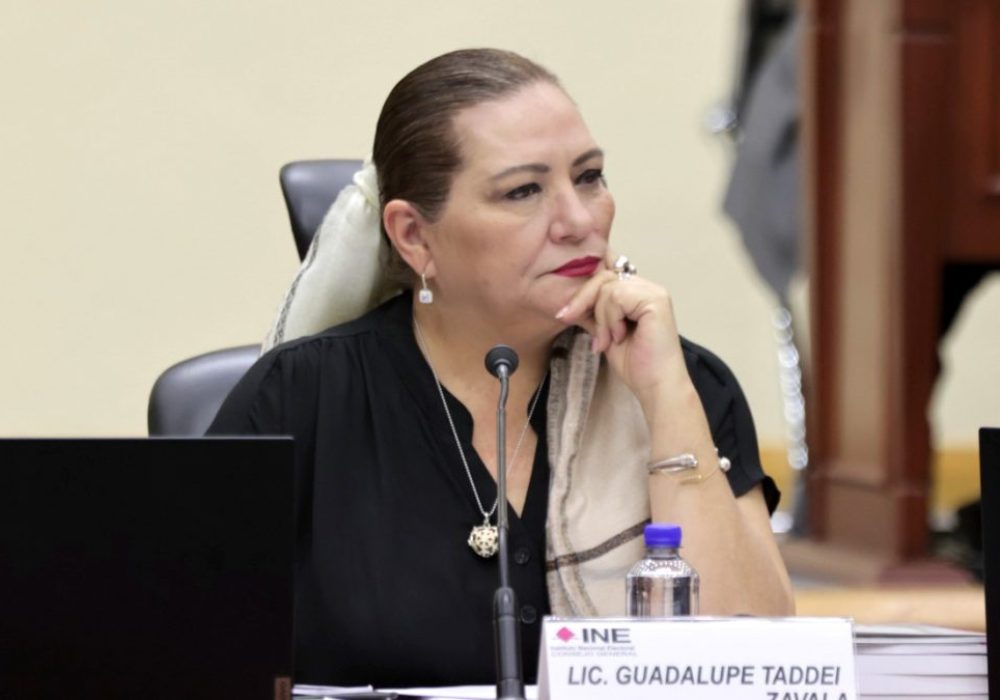 Guadalupe Taddei_INE