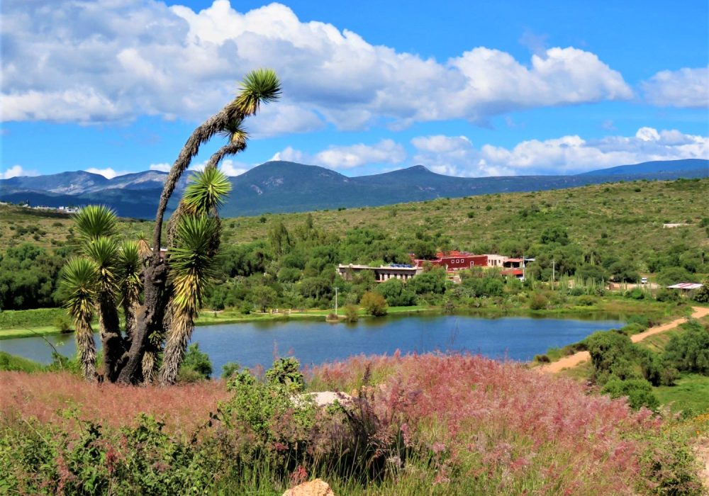 Hacienda Tovares 3