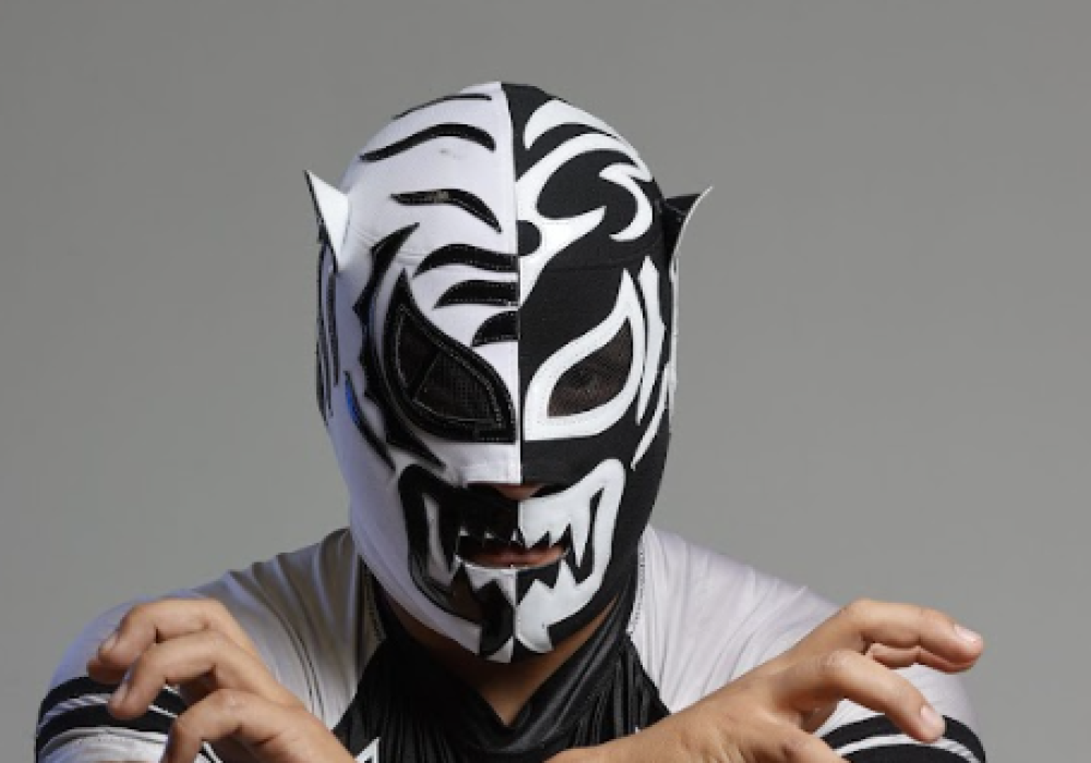Hijo del Pantera