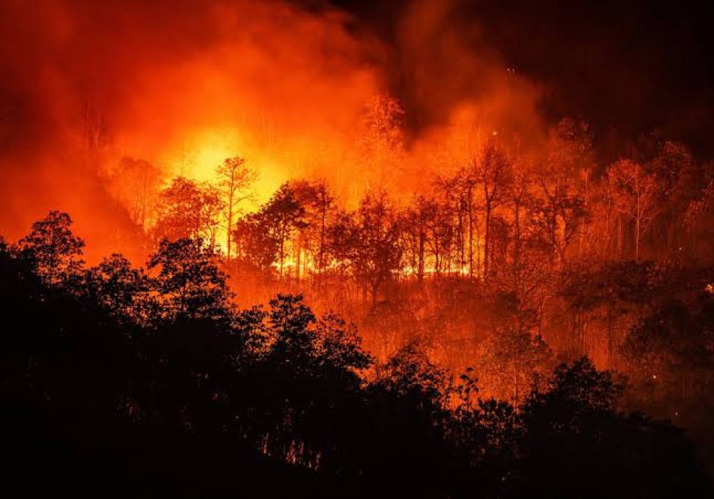 Incendio_México