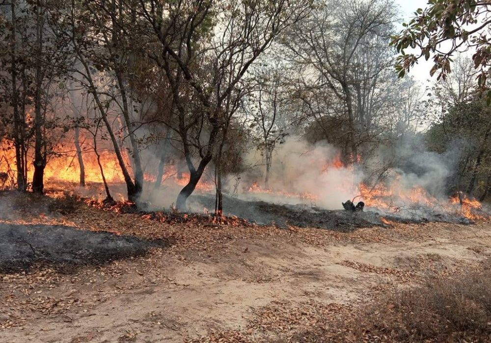 Incendio_Querétaro