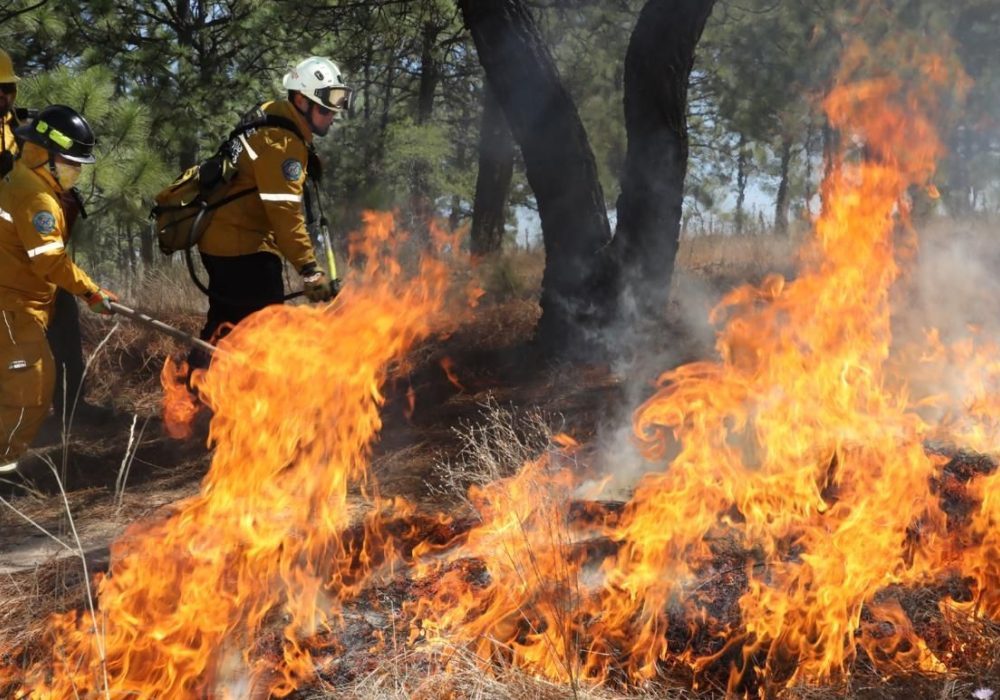 Incendios_México
