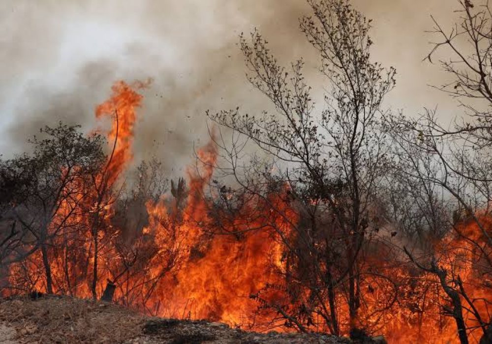 Incendios_Sierra Gorda