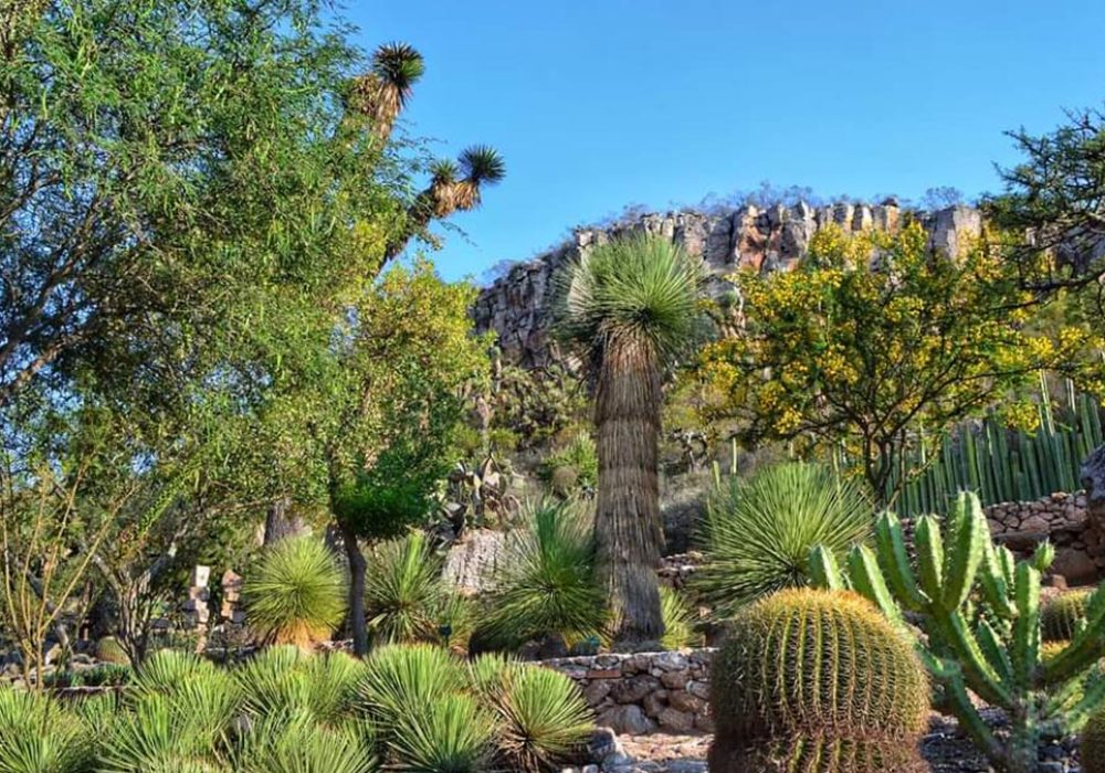 Jardín Botánico 3