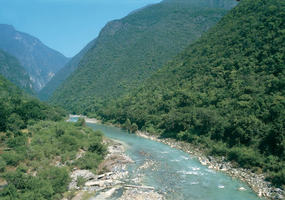 Las Adjuntas 1