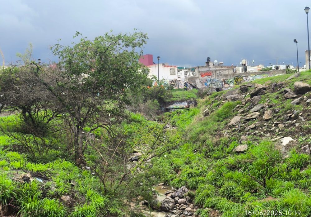Lluvias