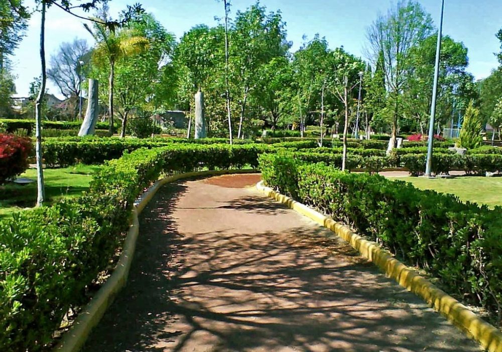 Los Alcanfores