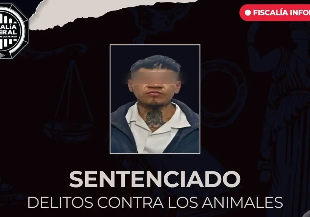 Maltrato animal_Querétaro