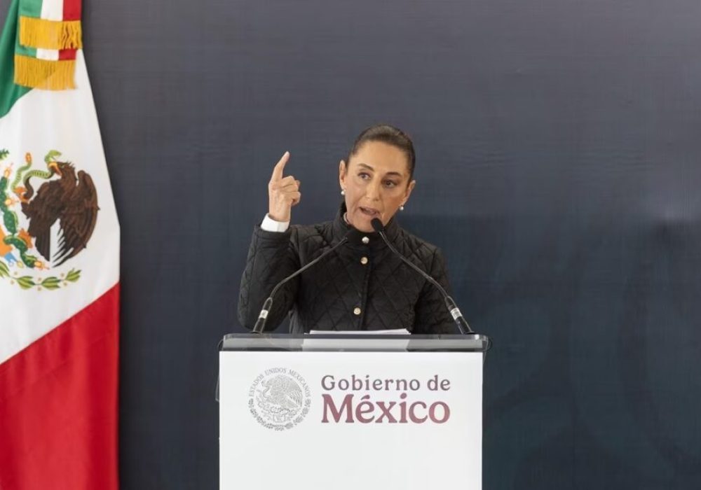 Morena_Maíz Transgénico