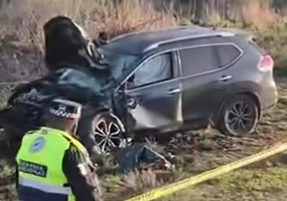Motociclista_Accidente