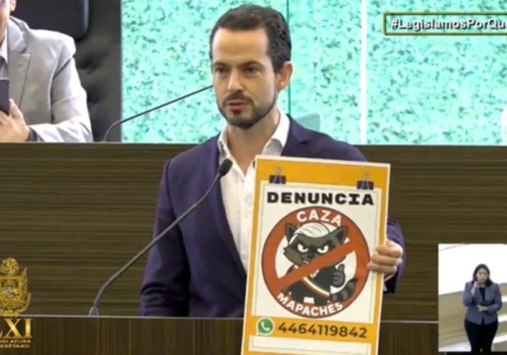 Paul Ospital_Elecciones