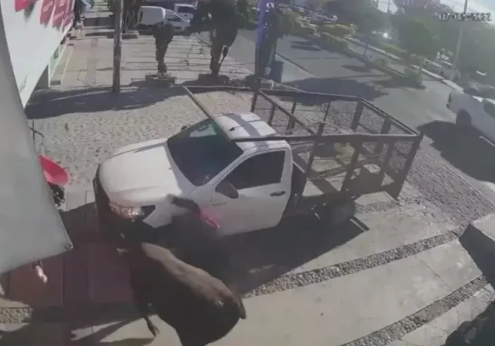 Pedro Escobedo_Toro