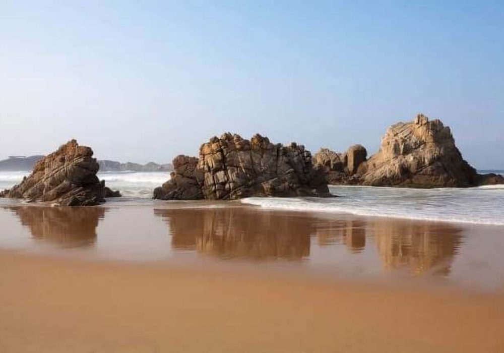 Playa_Año Nuevo