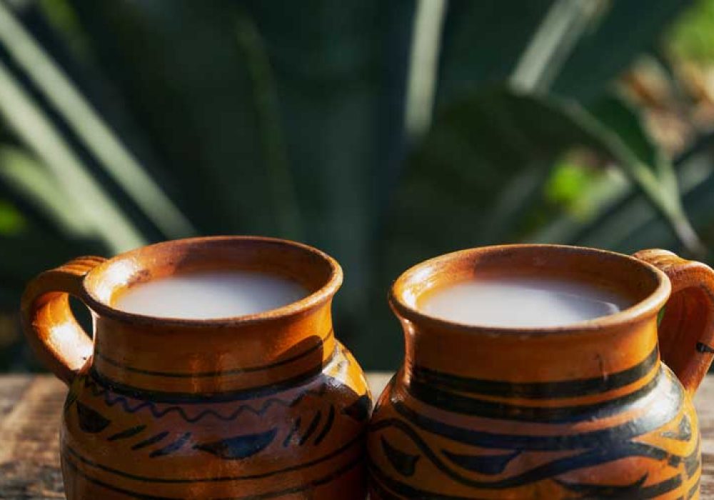 Pulque_Boyé_Cadereyta
