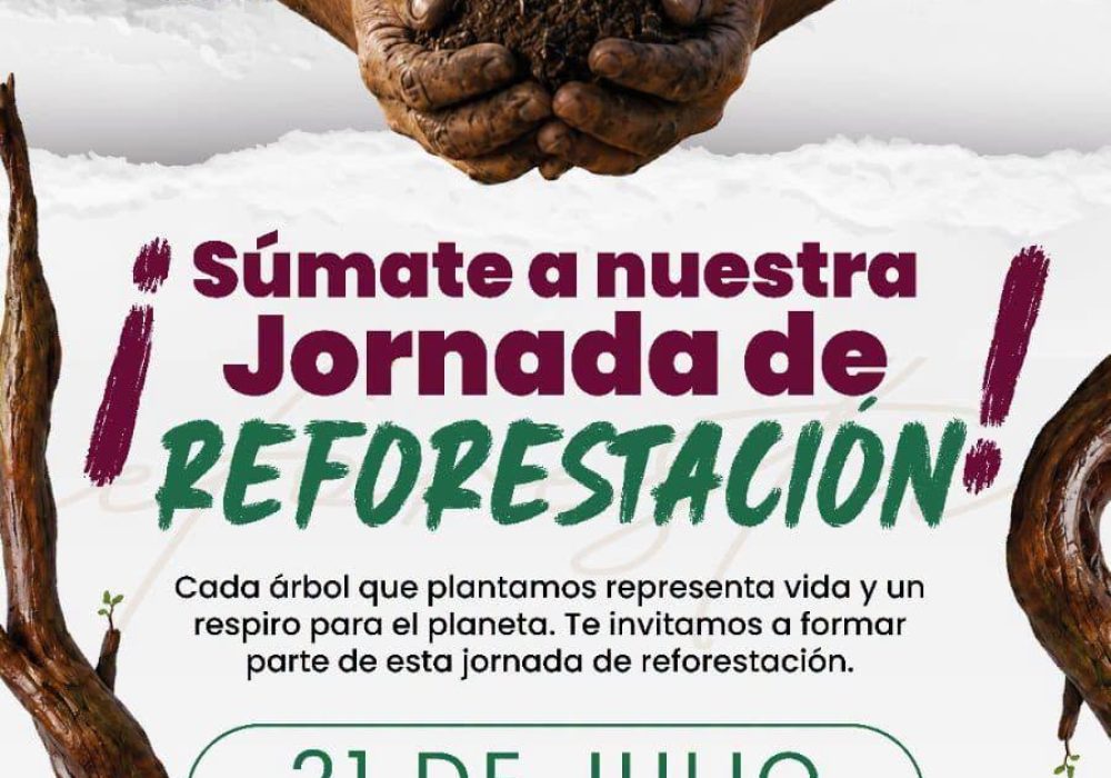 Reforestación_Pedro Escobedo