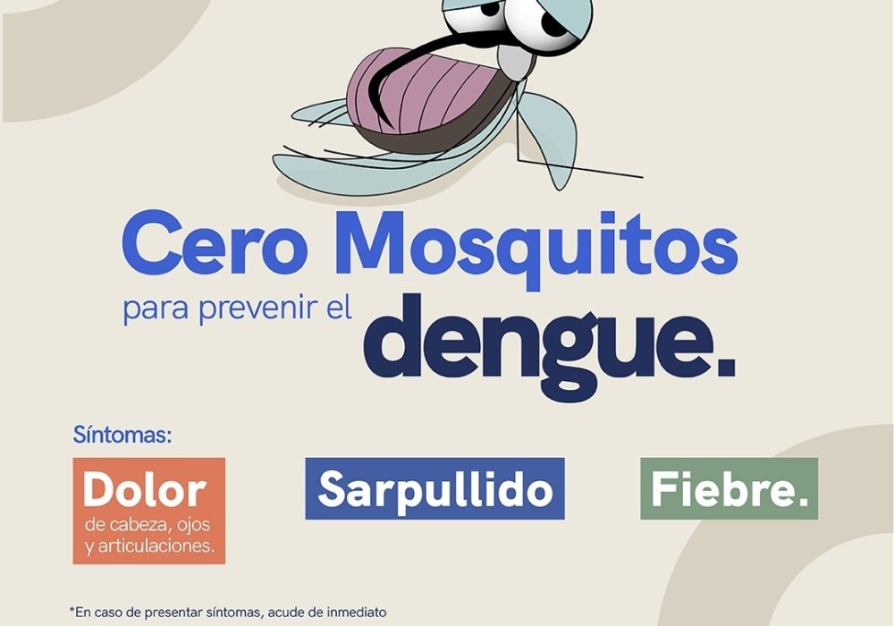 Refuerzan acciones de vigilancia epidemiológica y prevención del dengue