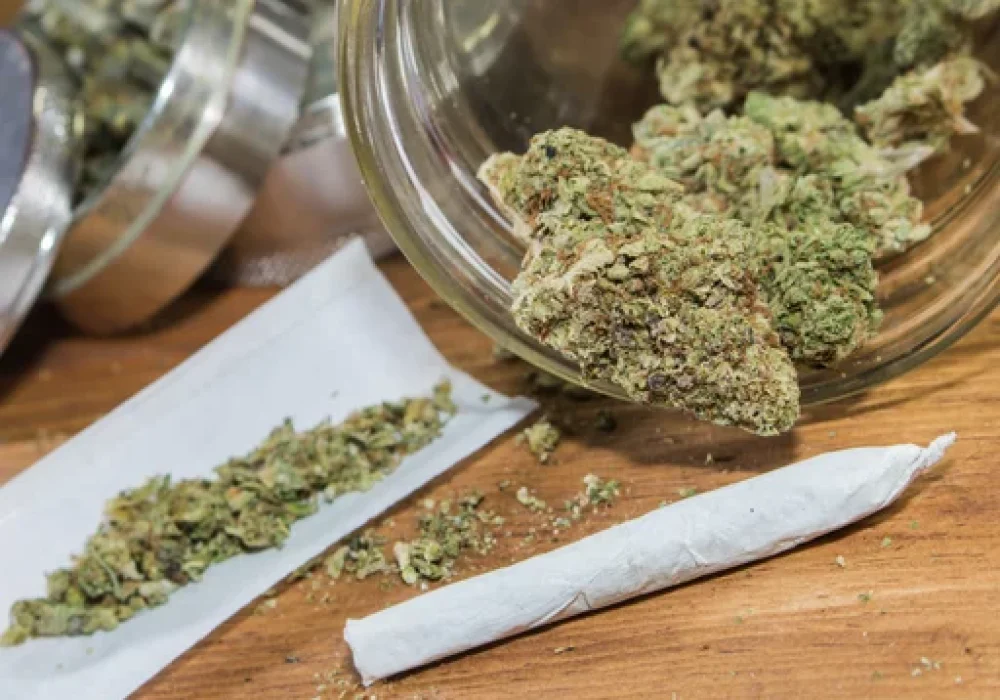 Regulación del cannabis es competencia federal- Tere Calzada