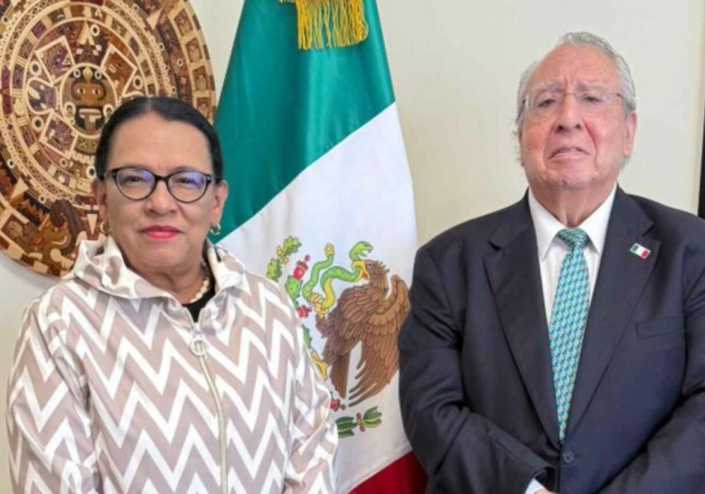 Rosa Icela