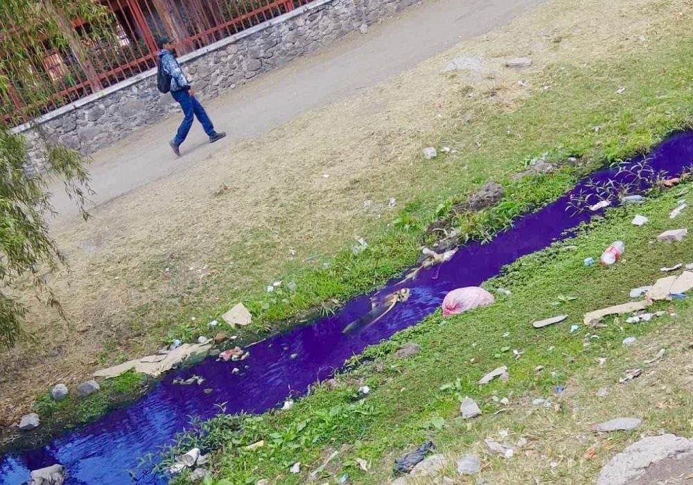 Santa Rosa Jáuregi_CEA