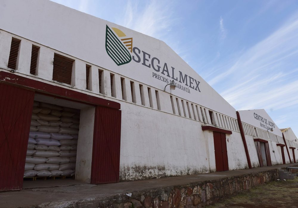 Segalmex_Gobierno Federal