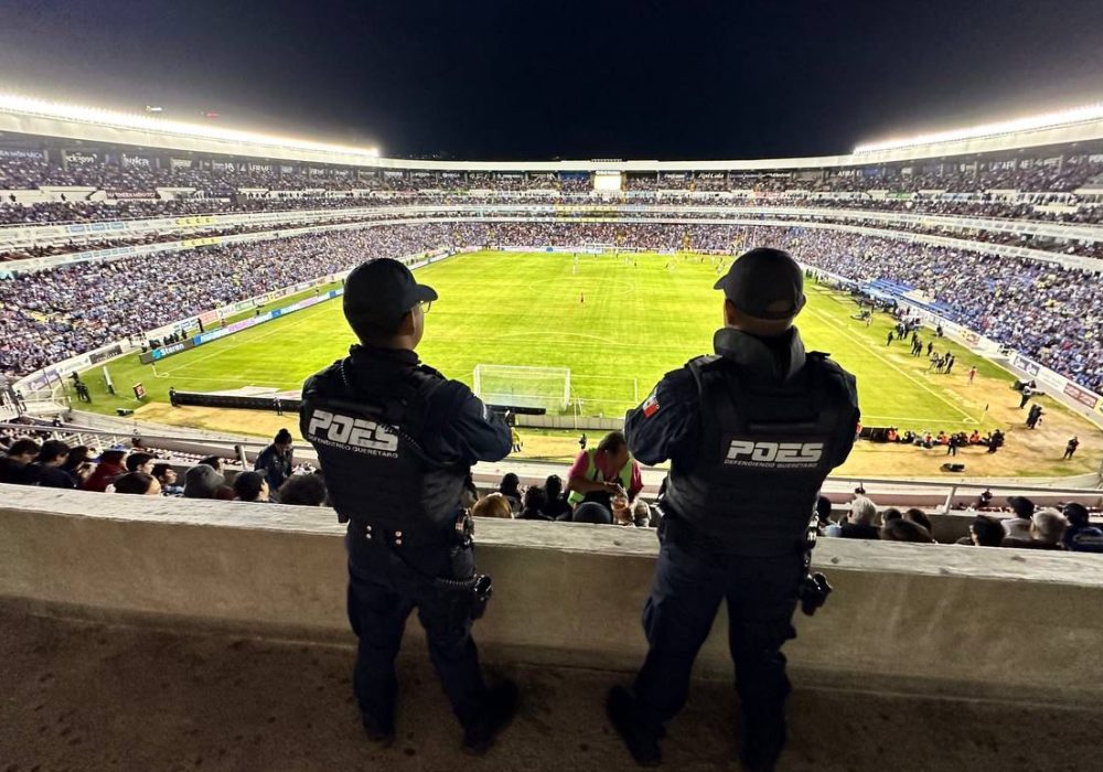 Seguridad_POES