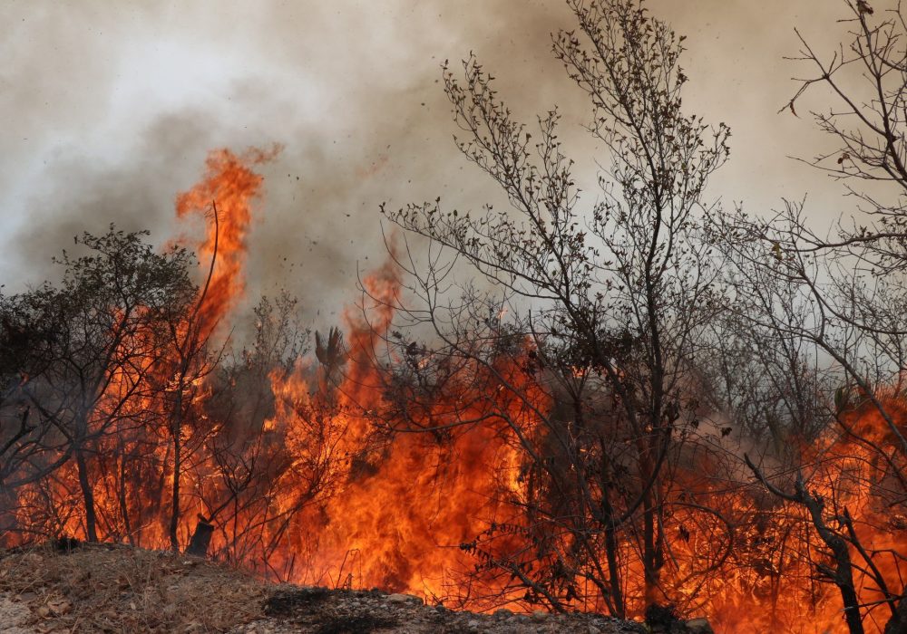 Sierra Gorda_Incendio