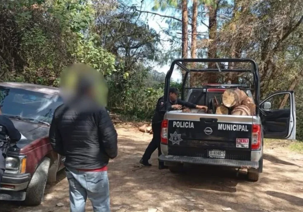 Tala ilegal_Querétaro