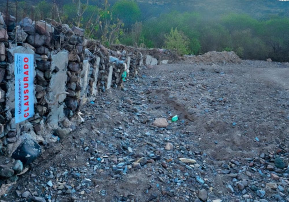 Tala ilegal_Sierra Gorda de Querétaro